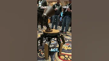Mi Mo Robot Unveiled At CES 2025 