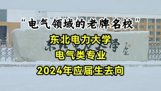 东北电力大学，2024年毕业的4个电气男生，真实的毕业去向 #东北电力大学 #电气工程 #职场 #求职 #职业规划