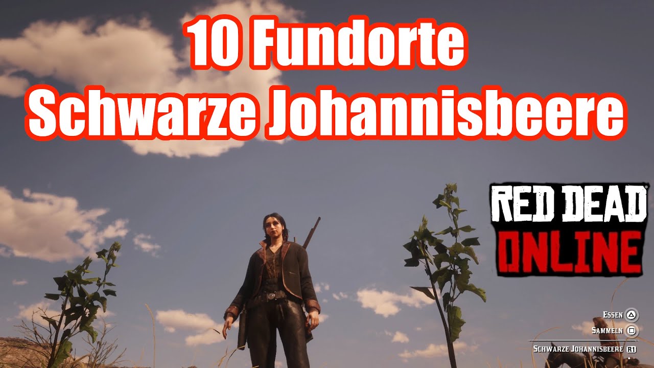 Read Dead Description 2 Deutsch 10 Orte Schwarze Johannisbeeren Red Dead Redemption 2 Deutsch / German