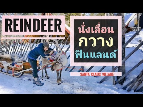 FINLAND 101 Ep.28 นั่งเลื่อนกวางเรนเดียร์ หมู่บ้านซานตาคลอส ฟินแลนด์ | Reindeer Sleigh, Rovaniemi