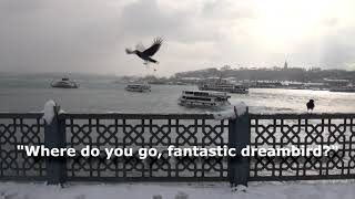 Where do you go, fantastic dreambird? // Yellow Raven - SCORPIONS (with lyrics)