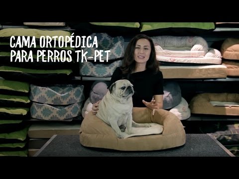 Las mejores 67 ideas de COLCHONES PARA PERROS  colchones para perros,  perros, camas para perros