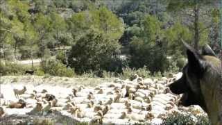 Entre Saumane et Fontaine de Vaucluse