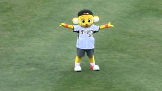 20111002_阪神2-7中日(甲子園) #3
