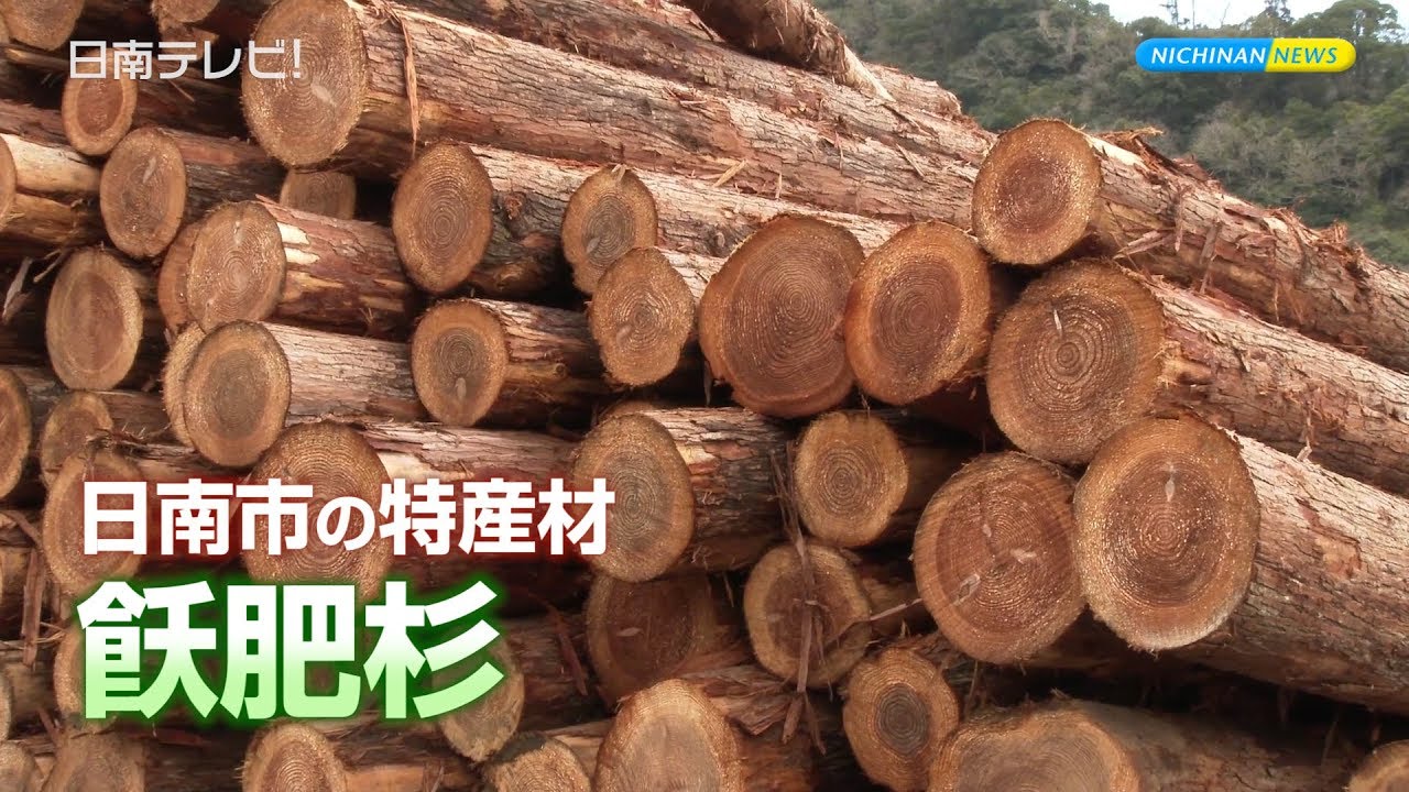 野中金右衛門の功績を讃えた木材市（宮崎県日南市） - YouTube