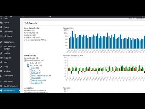 W3 Total Cache- Introducing Cache and Performance Statistics