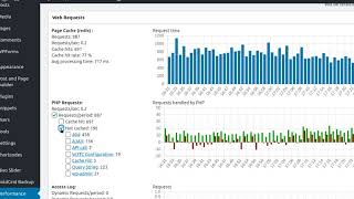 Celebrity W3 Total Cache- Introducing Cache and Performance Statistics Wealth
