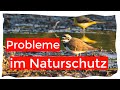 Probleme mit den Flussregenpfeifern | Interessenskonflikt Naturschutz