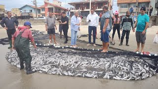 Garopaba, SC, 14-05-24, cerco de paratis e atividades da Safra da Tainha, 2024. #pescarias #garopaba