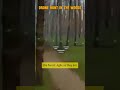 Drone Hunt in the Woods#russia  #military #ukraine #army #warzone