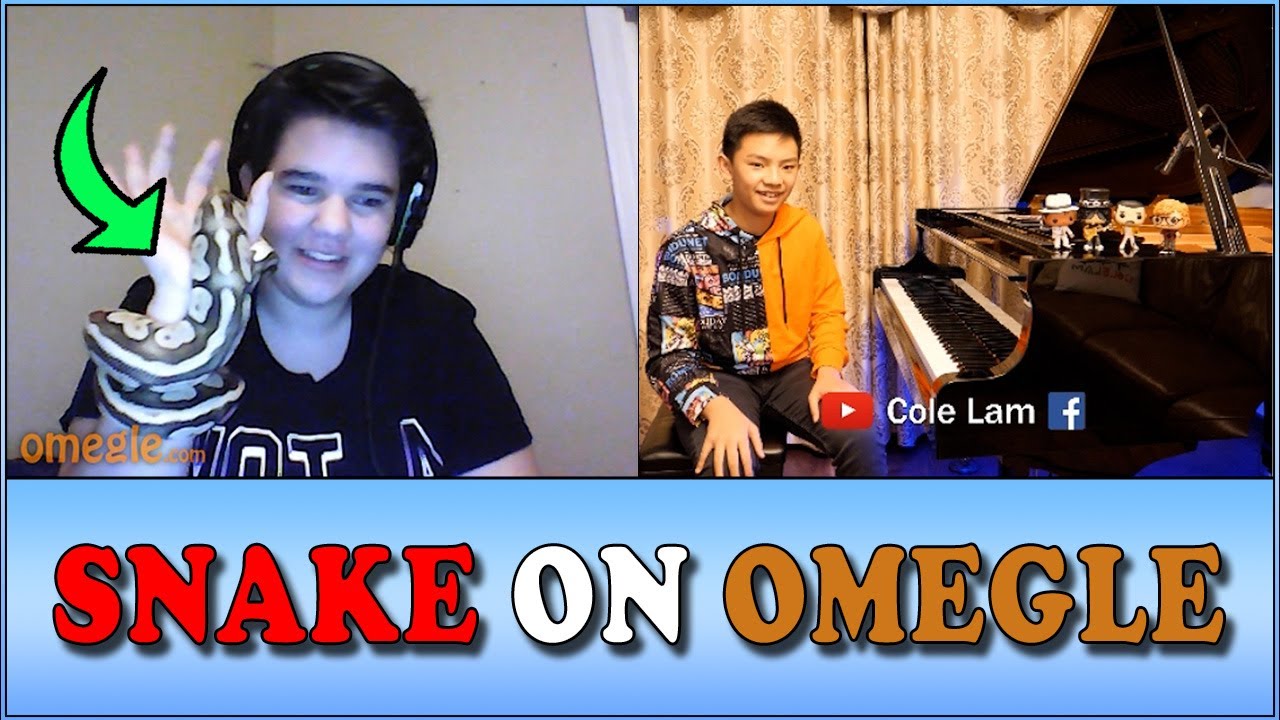 Snakes on A Plane? Snakes on Omegle! | Cole Lam 13 Years Old