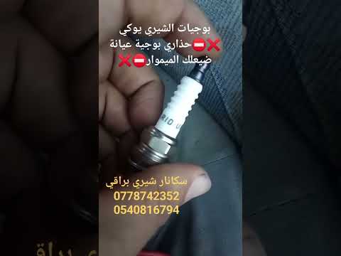    22 بوجيات تورش شيري يوكي   