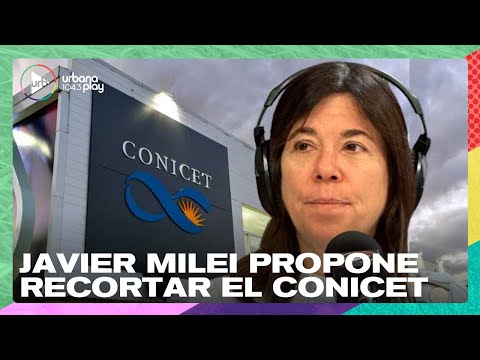 Javier Milei propone recortar el CONICET: Mario Pecheny, investigador, en #DeAcáEnMás