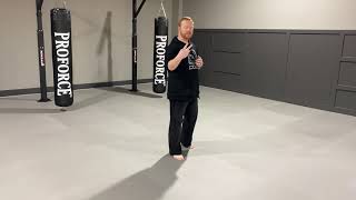 Sliding Side Kick/Swing Kick Net Worth