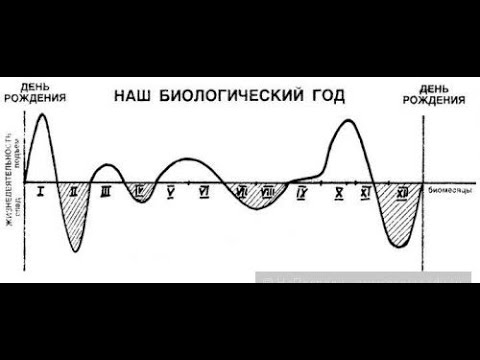 Циклы физического состояния