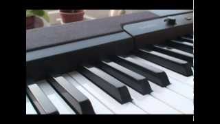 Video thumbnail of "X JAPAN - Amethyst Piano"