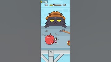 Hide and Seek : Cat Escape - JP Games Group APS. Gameplay Android/ios All Level