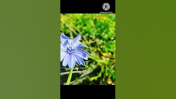 فوربك لنسألنهم أجمعين🌸 آيات عظيمة من سورة الحجر🌸القارئ هزاع البلوشي