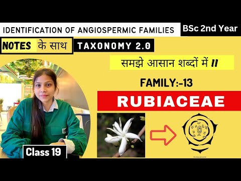 ভিডিও: কোন ওষুধটি রুবিয়াসি পরিবারের অন্তর্গত?