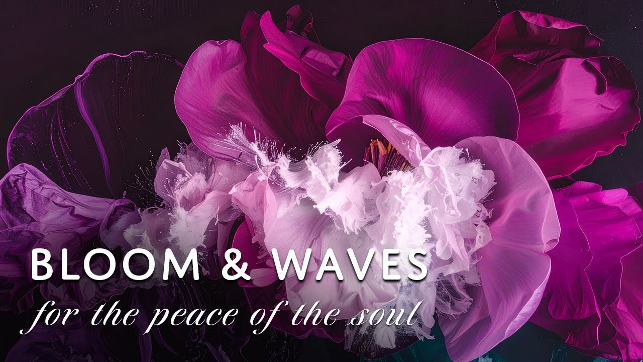 Bloom and Waves | For the Peace of the Soul
