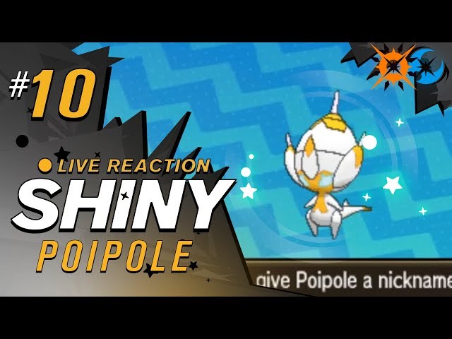 Poipole (UB Adhesive) • Competitive • 6IVs • Level 50 • Online