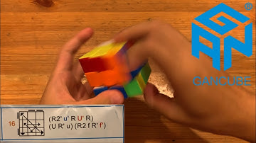 The BEST Gc Perm Algorithm! GAN Predicted The Future