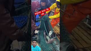 আল্লাহর অলৌকিক ক্ষমতা 😱 এমন দৃশ্য দেখলে ঈমান আরও দৃঢ় হবে 🤲🥰