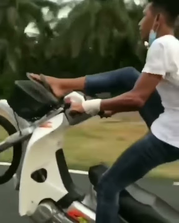 Snap wa ngakak tolol dipelihara kambing dipelihara bisa gemuk