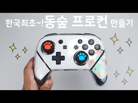 이젠 동물의 숲 프로컨트롤러 에디션으로 만들어보장!