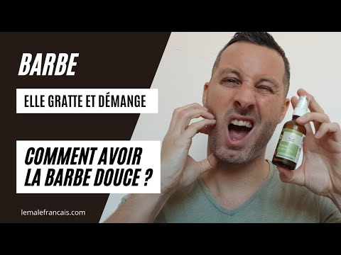 Vidéo: Comment garder la barbe douce : 12 étapes (avec photos)