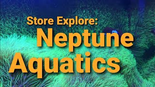 Store Explore Neptune Aquatics