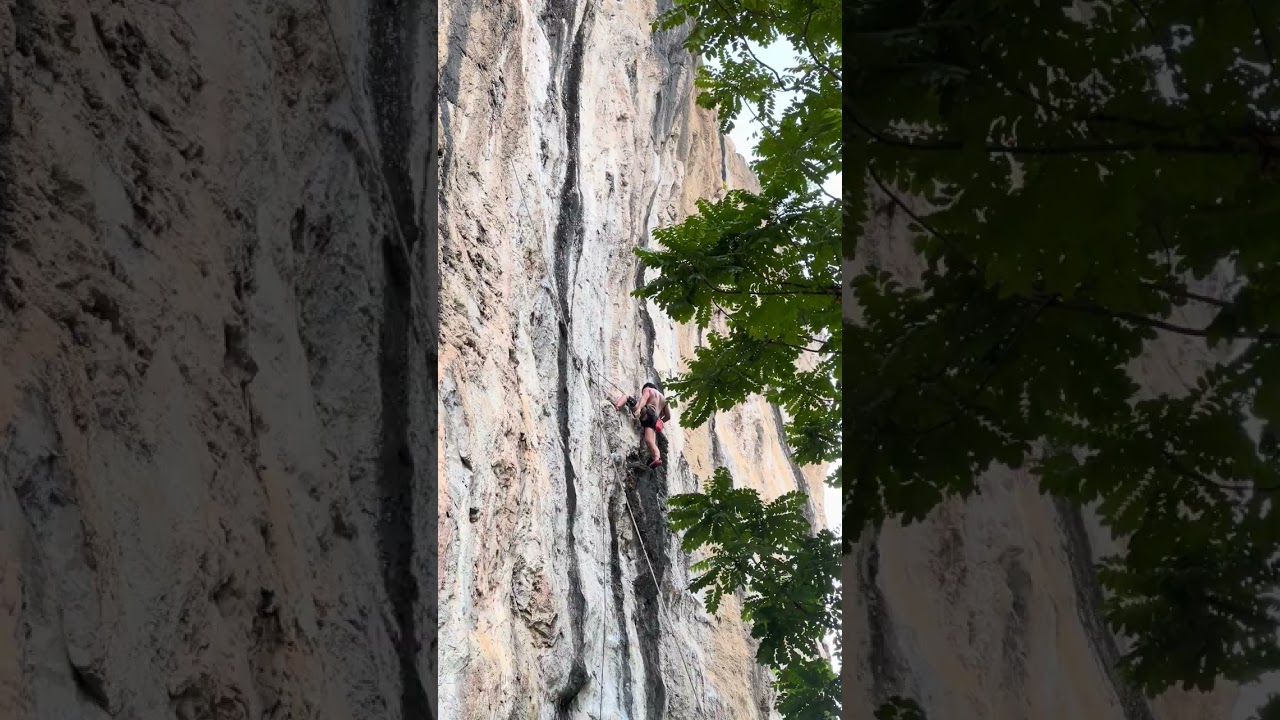 Nyamuk wall - Osmosis 