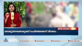 അട്ടപ്പാടിയിൽ കാട്ടാനയെ ചരിഞ്ഞ നിലയിൽ കണ്ടെത്തി  | Attappady | Wild Elephant