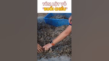 [Nuôi tôm thẻ công nghệ cao] Tôm lột vỏ buổi chiều bị rớt cục thịt | Dr Huy Tôm