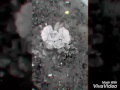 نهر الخوابي حبيتك بالصيف فيروز Firoz_habitak bl saiv