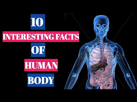 Interesting facts about human body | amazing facts of human body ...