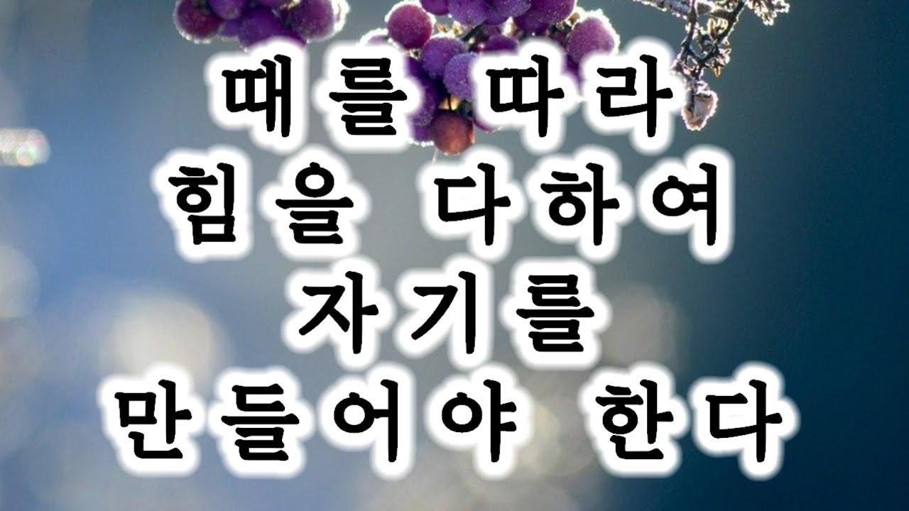 때를 따라 힘을 다하여 자기를 만들어야 한다 정명석 목사님 설교 2026년 3월 4일 수요 말씀