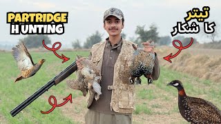 🦅 Partridge Hunting Pakistan | Best Hunt 🎯 | Turkish 12 Bore Kral Cara Cara & Kral A12 Details