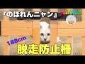 【脱走防止】保護猫と暮らす35年ローンの家『高さ約188cmの柵これは脱走できない！』 #子猫 #cat