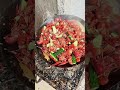 Trung Quốc ai cũng bất ngờ tưởng là mỹ 😀                                 #shorts