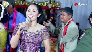 #tayub #giyantini Cs #madyolaras / Putri Solo - #nonton Tayub / Ngadu Nasib - Pek Nggo(dipek Tonggo)