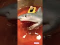 Creepy Sharkkk #shorts #viral #trending