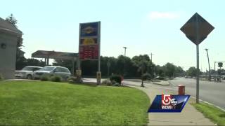 Dog breeder accused of animal abuse in custody