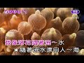 舊夢~彭佳慧~女D調~伴奏~導唱丙