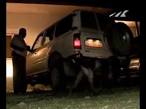 ნადირობა