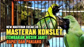 Masteran cucak ijo ngekek konslet tembakan mesin jahit rapat dan panjang masteran juara #cucakijo