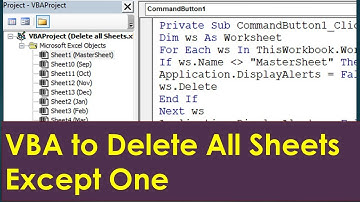 VBA to Delete all Sheets except Specific Sheet - Excel VBA Tutorial