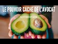 Documentaire Les pouvoirs caché de L' Avocat ?