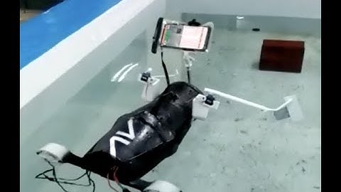 Autonomous Underwater Vehicle with Soft Robotic Arms - B.M.S.C.E.