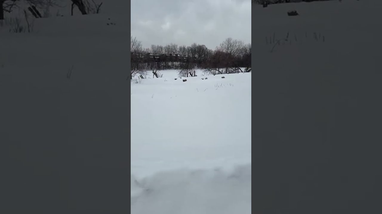 Live in Canada 🇨🇦 No Copyright Video by Chavda